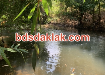 Bán Đất 1 sào đất thổ cư mặt tiền view Hòa xuân
